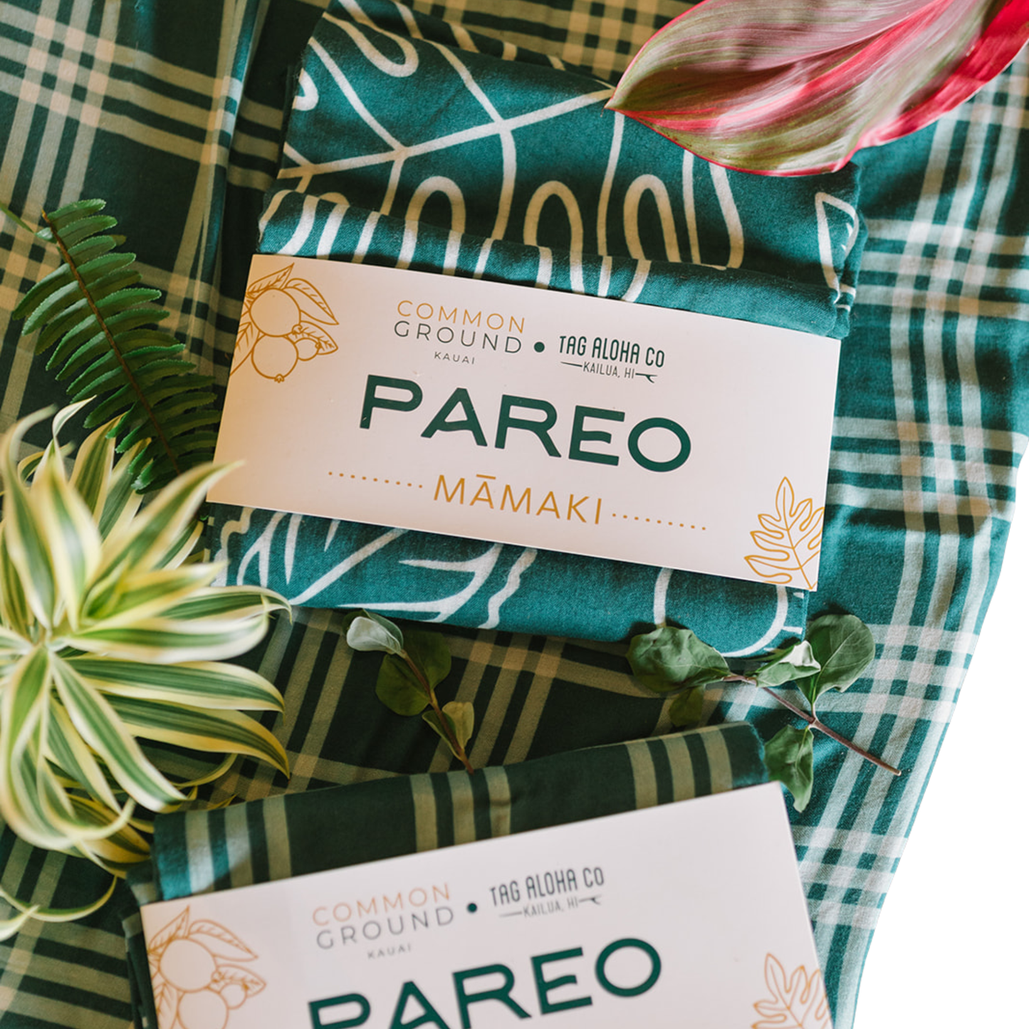 Common Ground | Pareo